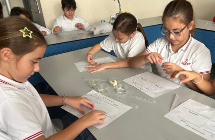 4. SINIFLAR İÇİN DENEY ZAMANI