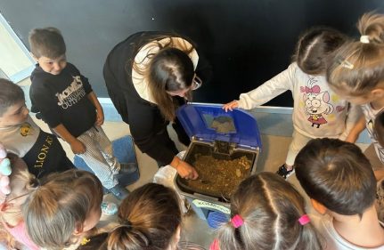 ANASINIFI ÖĞRENCİLERİ KOMPOST SÜRECİNİ ÖĞRENDİ