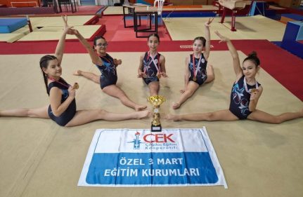 ARTİSTİK CİMNASTİKTE İL ŞAMPİYONLUĞU